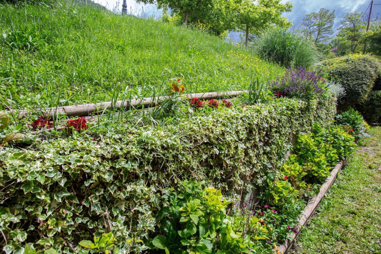 L'Ado Villa Ripoll Kültér fotó