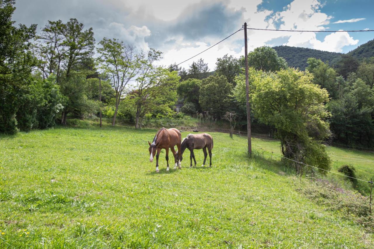 L'Ado Villa Ripoll Kültér fotó